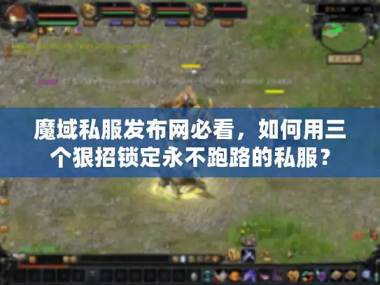 魔域私服发布网必看,如何用三个狠招锁定永不跑路的私服? 魔域私服发布网必看,如何用三个狠招锁定永不跑路的私服?