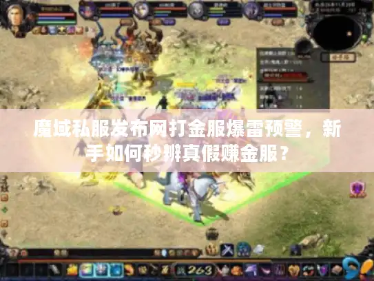 魔域私服发布网打金服爆雷预警，新手如何秒辨真假赚金服？