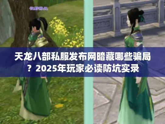 天龙八部私服发布网暗藏哪些骗局？2025年玩家必读防坑实录