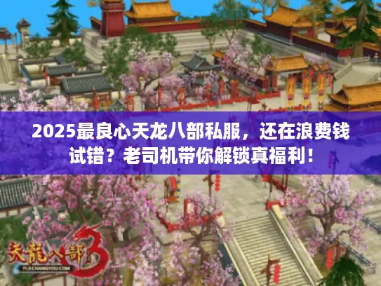 2025最良心天龙八部私服，还在浪费钱试错？老司机带你解锁真福利！