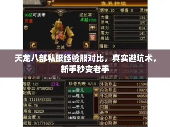 天龙八部私服经验服对比，真实避坑术，新手秒变老手