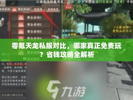 零氪天龙私服对比，哪家真正免费玩？省钱攻略全解析