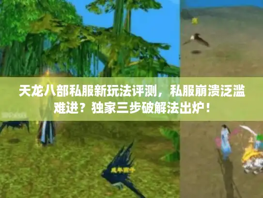 天龙八部私服新玩法评测,私服崩溃泛滥难进?独家三步破解法出炉! 天龙八部私服新玩法评测,私服崩溃泛滥难进?独家三步破解法出炉!