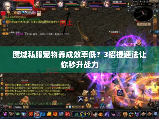 魔域私服宠物养成效率低？3招提速法让你秒升战力