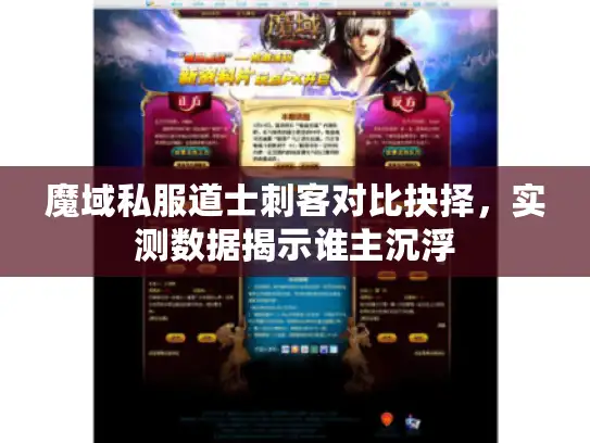 魔域私服道士刺客对比抉择，实测数据揭示谁主沉浮