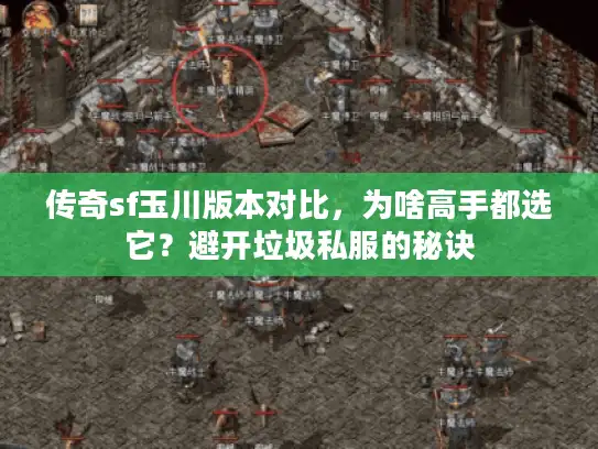 传奇sf玉川版本对比，为啥高手都选它？避开垃圾私服的秘诀