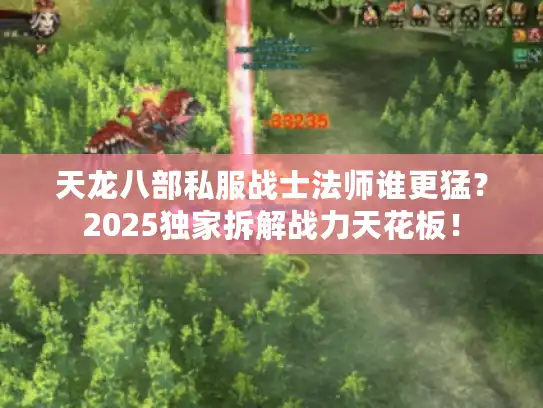 天龙八部私服战士法师谁更猛？2025独家拆解战力天花板！