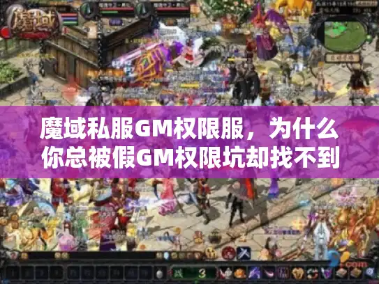 魔域私服GM权限服,为什么你总被假GM权限坑却找不到真爽服? 魔域私服GM权限服,为什么你总被假GM权限坑却找不到真爽服?