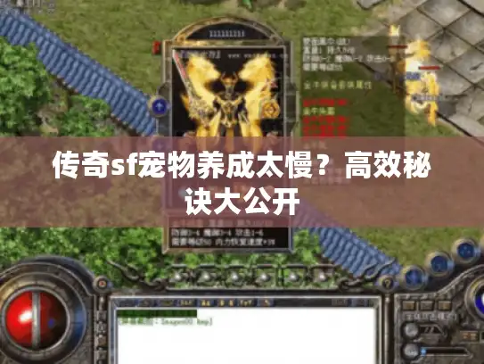 传奇sf宠物养成太慢？高效秘诀大公开