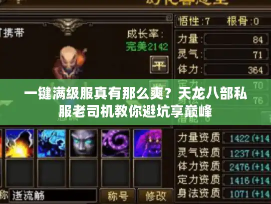 一键满级服真有那么爽?天龙八部私服老司机教你避坑享巅峰 一键满级服真有那么爽?天龙八部私服老司机教你避坑享巅峰