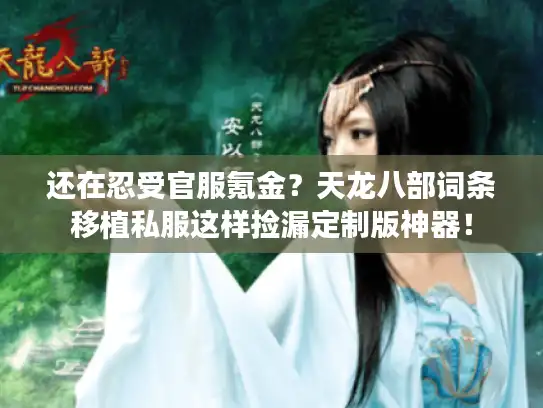 还在忍受官服氪金?天龙八部词条移植私服这样捡漏定制版神器! 还在忍受官服氪金?天龙八部词条移植私服这样捡漏定制版神器!