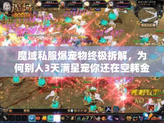魔域私服爆宠物终极拆解，为何别人3天满星宠你还在空耗金币？