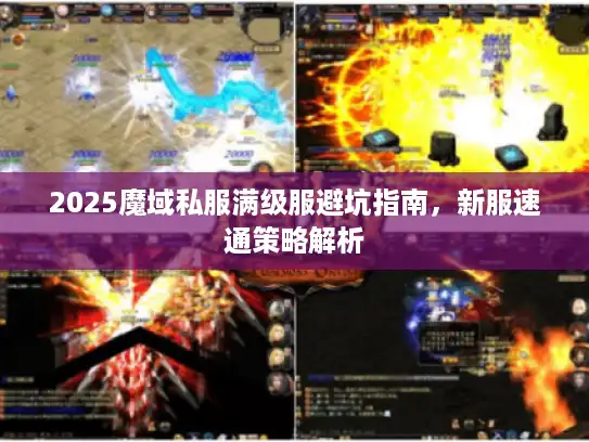 2025魔域私服满级服避坑指南，新服速通策略解析
