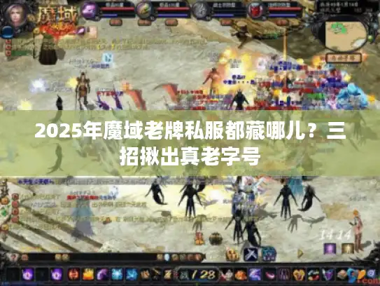 2025年魔域老牌私服都藏哪儿？三招揪出真老字号