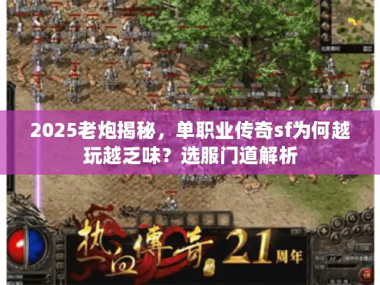 2025老炮揭秘，单职业传奇sf为何越玩越乏味？选服门道解析