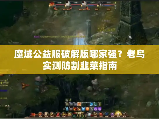 魔域公益服破解版哪家强？老鸟实测防割韭菜指南