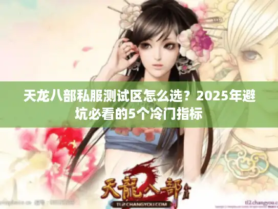 天龙八部私服测试区怎么选？2025年避坑必看的5个冷门指标