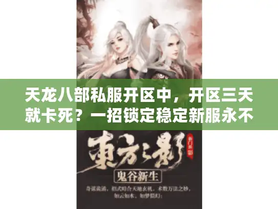 天龙八部私服开区中，开区三天就卡死？一招锁定稳定新服永不掉线