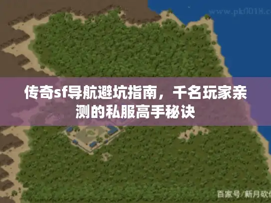 传奇sf导航避坑指南，千名玩家亲测的私服高手秘诀