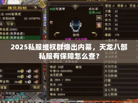 2025私服维权群爆出内幕，天龙八部私服有保障怎么查？