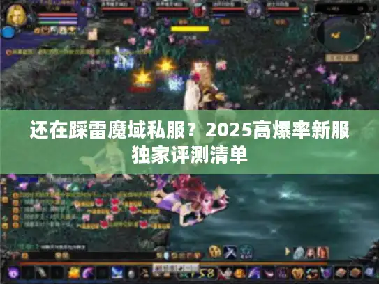 还在踩雷魔域私服？2025高爆率新服独家评测清单