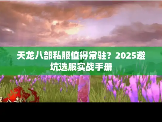 天龙八部私服值得常驻?2025避坑选服实战手册 天龙八部私服值得常驻?2025避坑选服实战手册