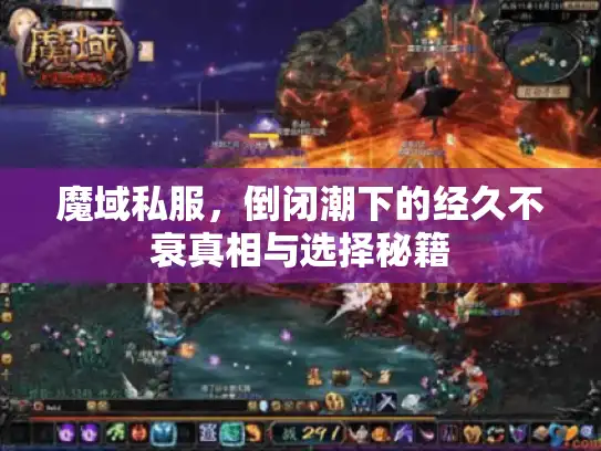 魔域私服,倒闭潮下的经久不衰真相与选择秘籍 魔域私服,倒闭潮下的经久不衰真相与选择秘籍