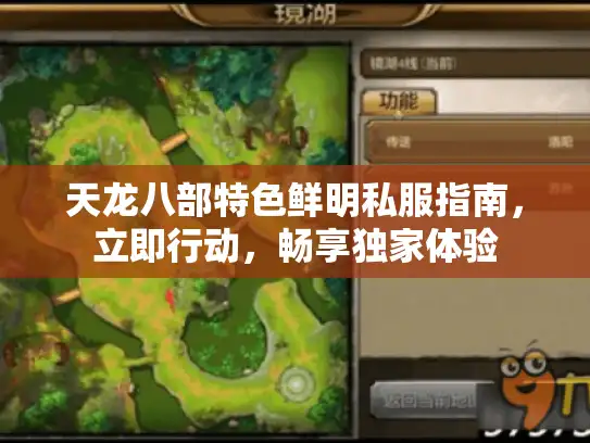 天龙八部特色鲜明私服指南，立即行动，畅享独家体验