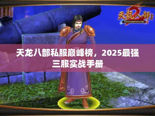 天龙八部私服巅峰榜，2025最强三服实战手册