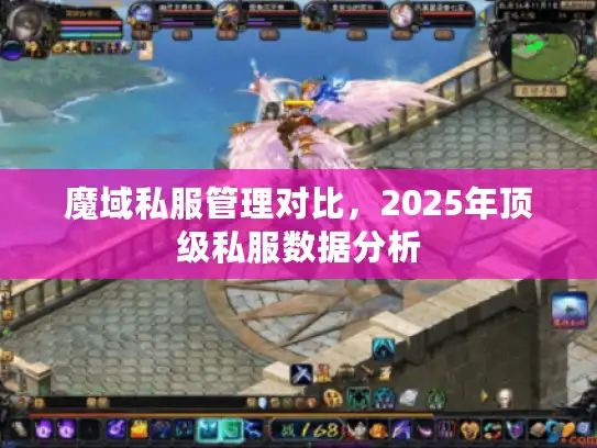 魔域私服管理对比，2025年顶级私服数据分析
