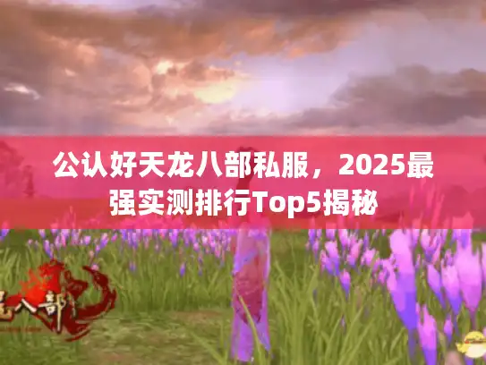 公认好天龙八部私服，2025最强实测排行Top5揭秘