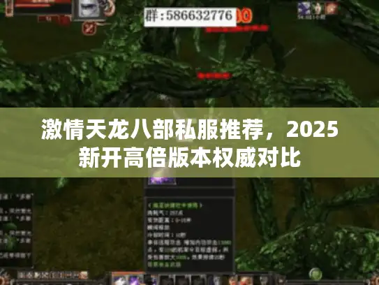 激情天龙八部私服推荐，2025新开高倍版本权威对比