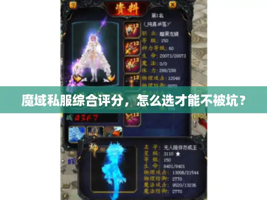 魔域私服综合评分,怎么选才能不被坑? 魔域私服综合评分,怎么选才能不被坑?