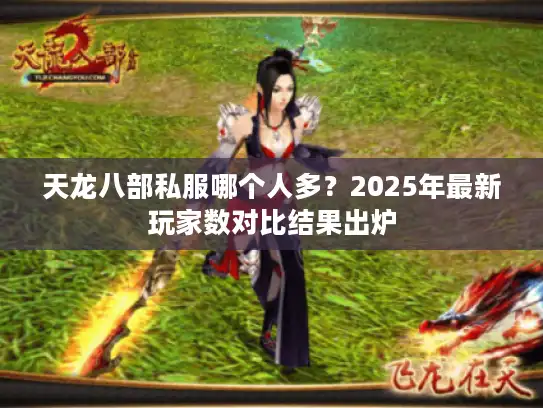 天龙八部私服哪个人多？2025年最新玩家数对比结果出炉