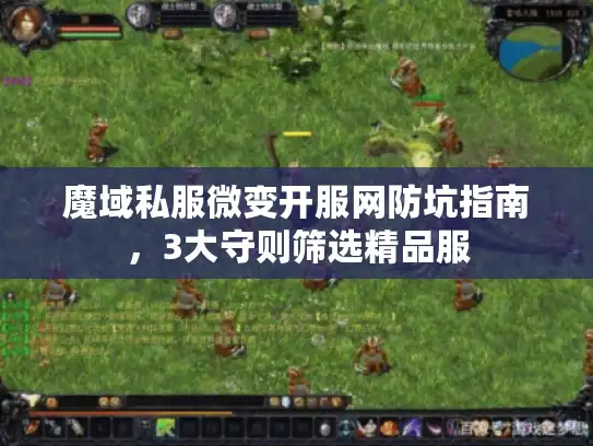 魔域私服微变开服网防坑指南，3大守则筛选精品服