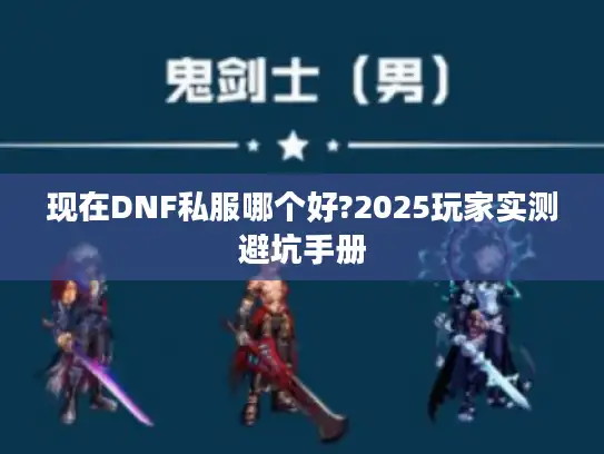 现在DNF私服哪个好?2025玩家实测避坑手册