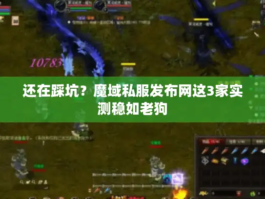 还在踩坑？魔域私服发布网这3家实测稳如老狗