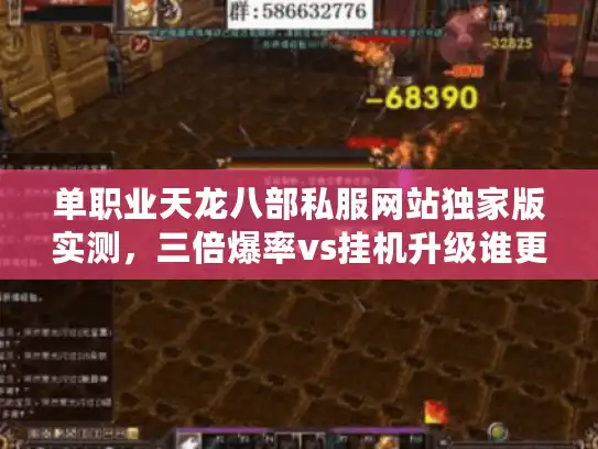 单职业天龙八部私服网站独家版实测，三倍爆率vs挂机升级谁更爽？
