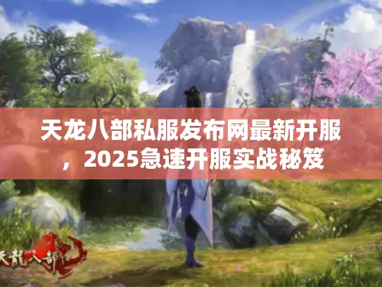 天龙八部私服发布网最新开服，2025急速开服实战秘笈