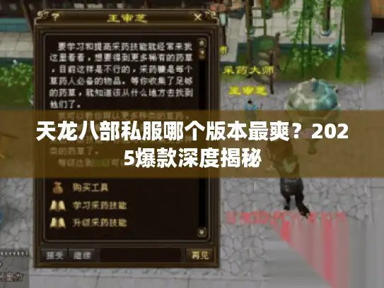 天龙八部私服哪个版本最爽？2025爆款深度揭秘