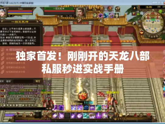 独家首发!刚刚开的天龙八部私服秒进实战手册 独家首发!刚刚开的天龙八部私服秒进实战手册