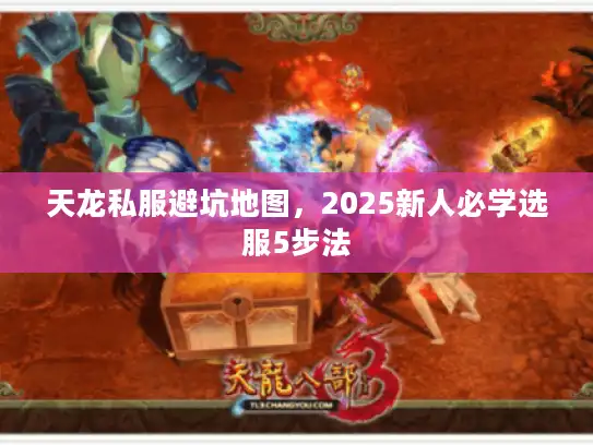 天龙私服避坑地图，2025新人必学选服5步法
