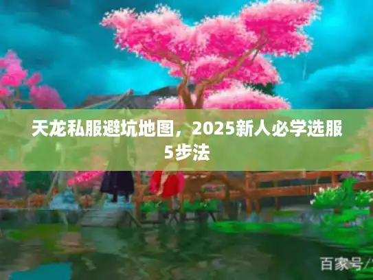 天龙私服避坑地图，2025新人必学选服5步法