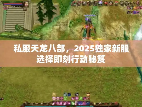 私服天龙八部，2025独家新服选择即刻行动秘笈