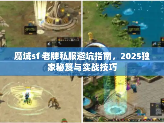 魔域sf 老牌私服避坑指南,2025独家秘笈与实战技巧 魔域sf 老牌私服避坑指南,2025独家秘笈与实战技巧