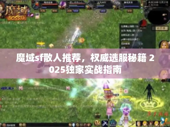 魔域sf散人推荐，权威选服秘籍 2025独家实战指南