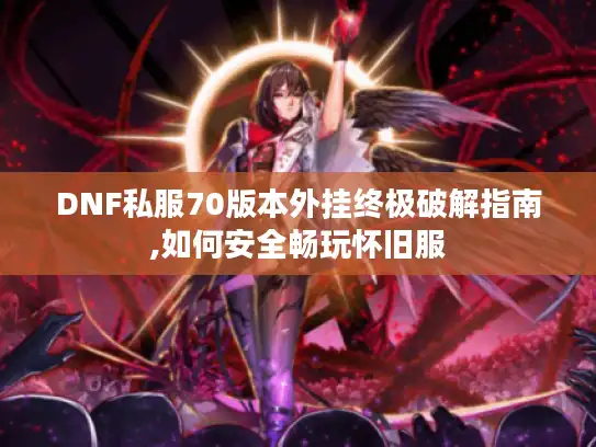 DNF私服70版本外挂终极破解指南,如何安全畅玩怀旧服