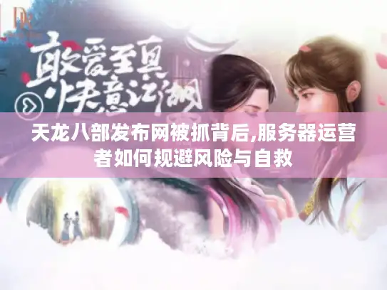 天龙八部发布网被抓背后,服务器运营者如何规避风险与自救