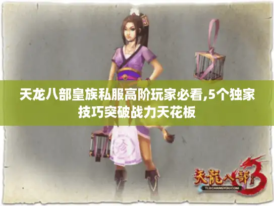 天龙八部皇族私服高阶玩家必看,5个独家技巧突破战力天花板