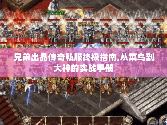 兄弟出品传奇私服终极指南,从菜鸟到大神的实战手册